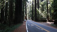 IMG_4380