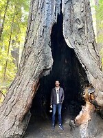 IMG_9535
