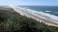 IMG_4417