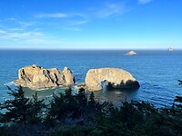 IMG_9556