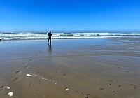 IMG_9564