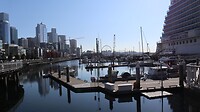 IMG_4562