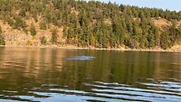 IMG_9724