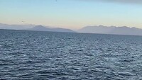 IMG_9734