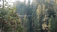 IMG_4735