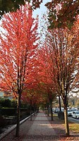 IMG_4741