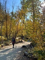 IMG_3817