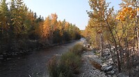 IMG_4779
