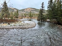 IMG_0115