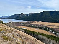 IMG_0130
