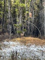 IMG_4017
