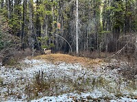 IMG_4019
