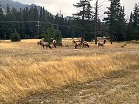 IMG_0160