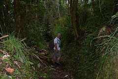 In de Cloud Forest....