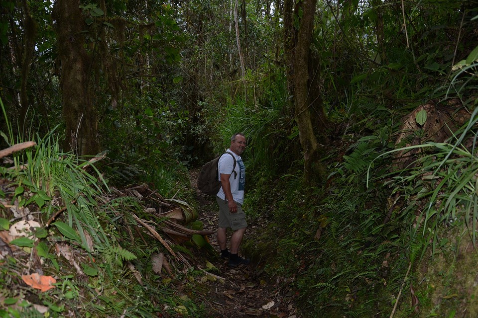 In de Cloud Forest....