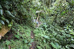 Parque Nacional Podocarpus