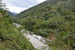 Parque Nacional Podocarpus