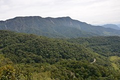 Parque Nacional Podocarpus