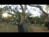 Koala Bimbi Park | Australie