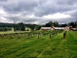 Hunter Valley