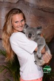 Koala deel 2