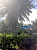 It's my way or the .... ...