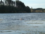 gevecht met waterplanten in lake aniwhenua