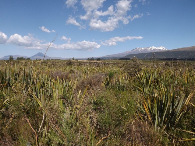 Tongariro 2