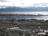 DSCF0429