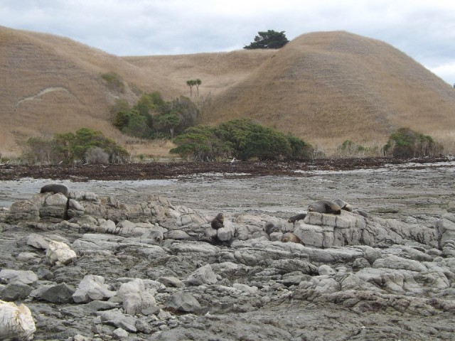 DSCF0435
