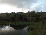 DSCF0566