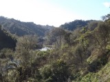 DSCF0624