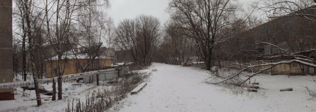Zachte winter