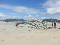 Whitsundays beach 1