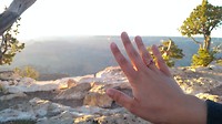De ring