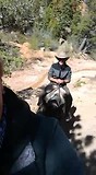 Plezier te paard