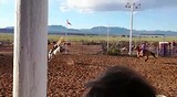 Rodeo!