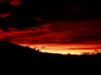 DSCN3377