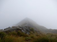 Roys Peak in de mist