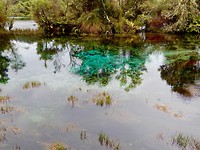 Pupu Springs