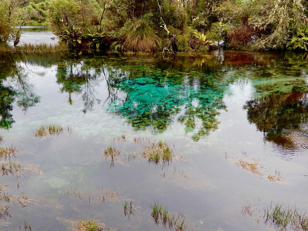Pupu Springs