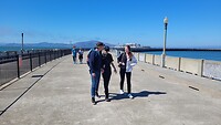 Vergane pier