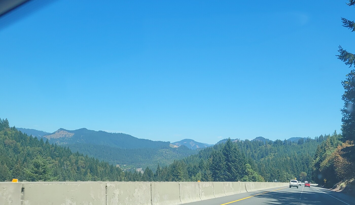 20220805_120319(1)
