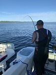 IMG_94471660619201755