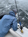 IMG_92951660619201752