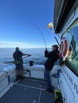 IMG_61351660619201750