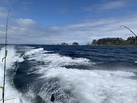 IMG_93411660619201752