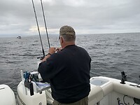 IMG_92821660619201751