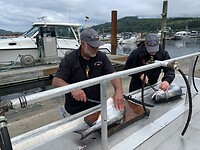 IMG_94101660619201753