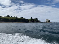 IMG_93831660619201753